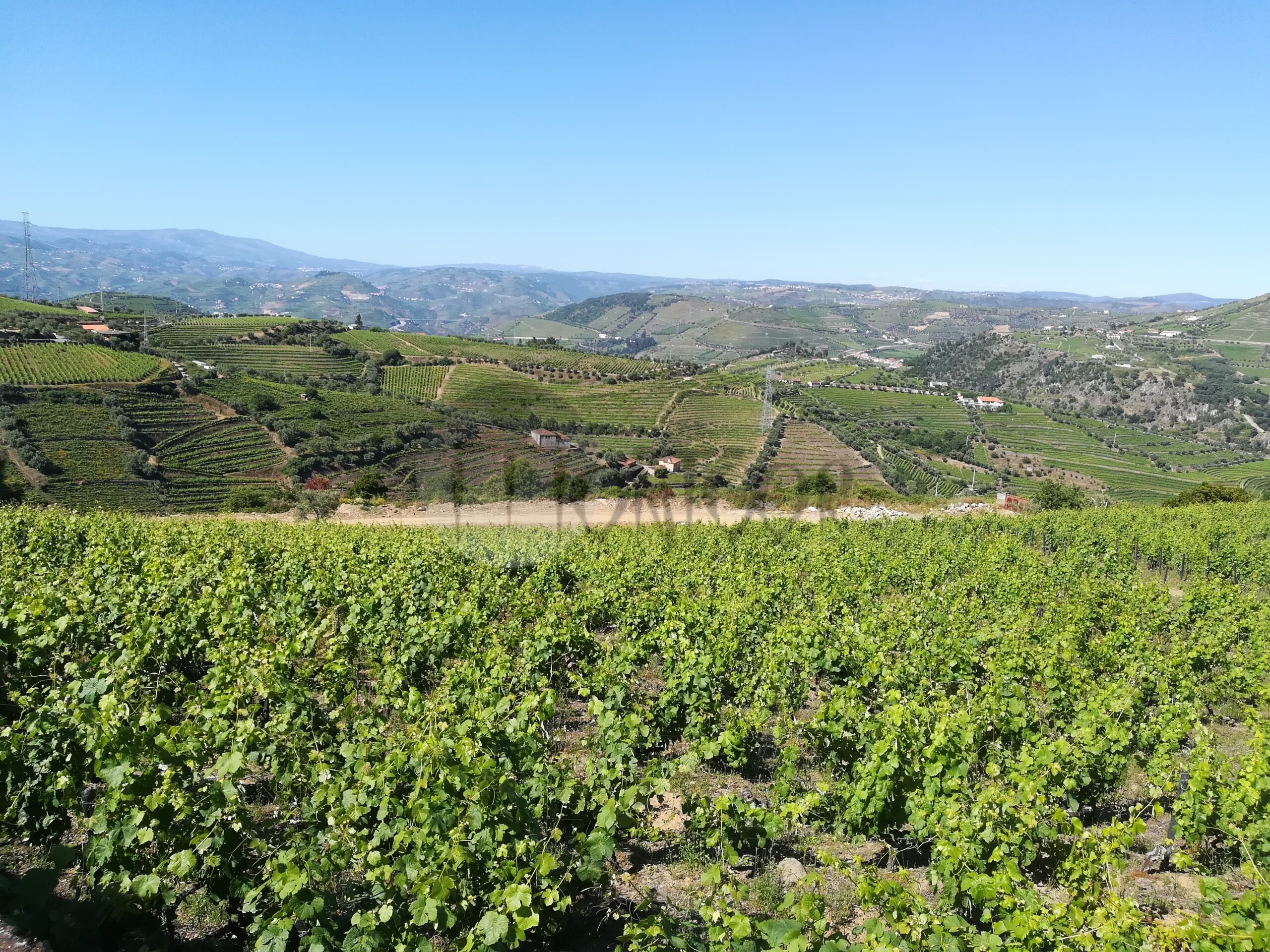 Montoor Portugal Norte Smpenaguião