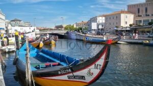 Aveiro distrito