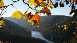 Ribeira Sacra 1 Day